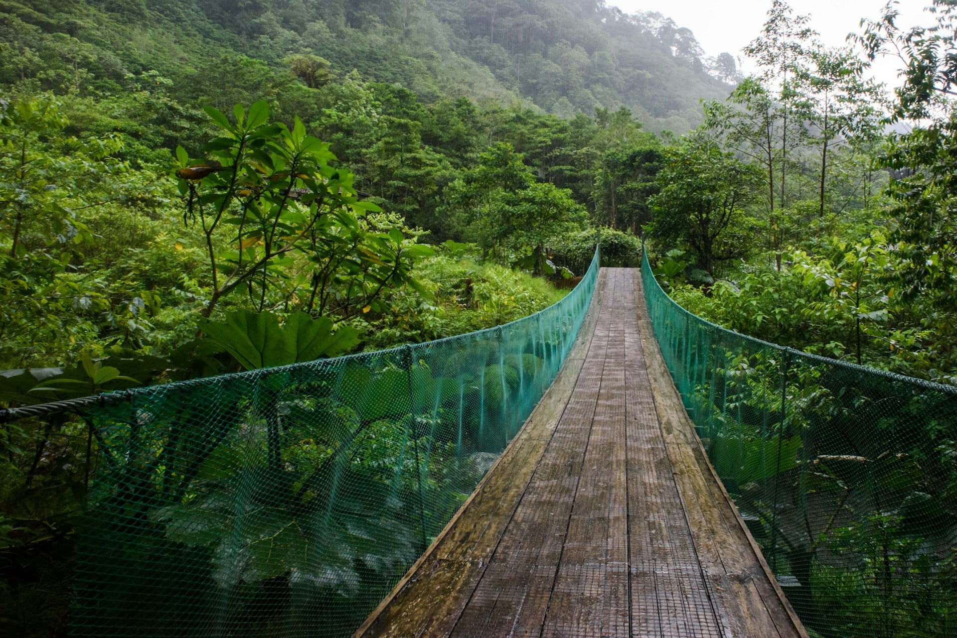 Manuel Antonio
